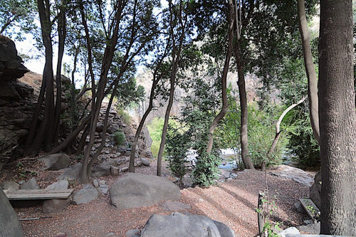Terreno Único En Condominio