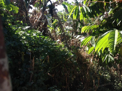 Chácara Para Venda Em Ribeirão Das Neves, Bom Sossego - Ch07_1-1461536