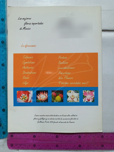 Revista Arreglos Florales Decore Cada Espacio #22 2002 (Usado)