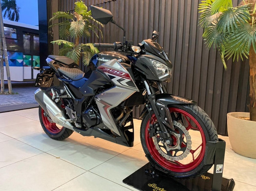 Imagem 3 de 12 de Kawasaki Z 300 2019 25.000kms