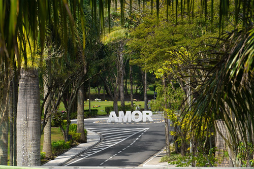 Jazigo Completo No Cemitério Parque Jaraguá Nobre Tradicional 6 Gavetas