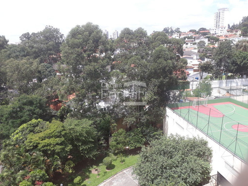 Excelente Apto, Região Bem Arborizado. - Cf33850