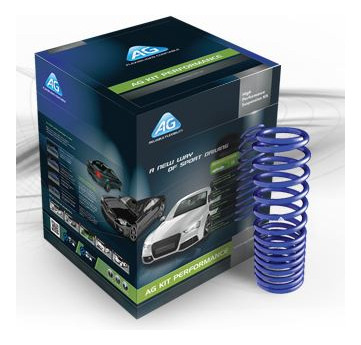 Kit Espirales Progresivos Delanteros Ford Focus 2000...2008