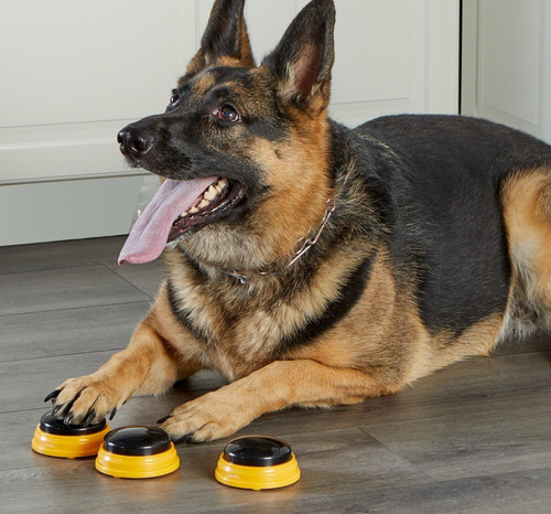Imagen 7 de 9 de Botones Adiestramiento Talking Pet Palabras Nombres Perros