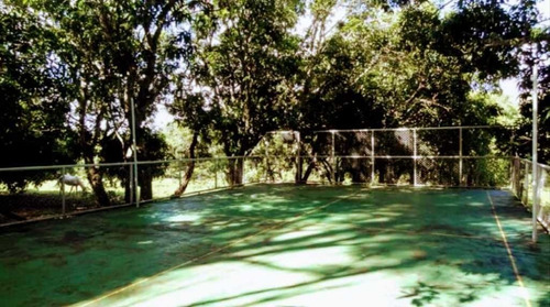 Imagem 11 de 13 de Fazenda De Dupra Aptidão Grão E Gado 250 Hectares Unaí 6.00.000,00 - 40140