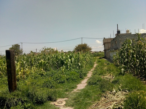 Imagen 21 de 30 de Bodega Con Terreno En San Cristobal Huichotitlán