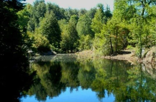 Sitio En Venta A 42 Km De Curicó A La Cordillera