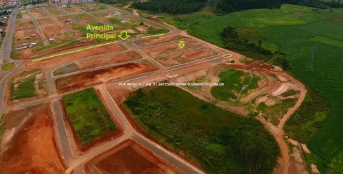 Imagem 12 de 15 de Terreno - Sao Jose - Ref: 50237 - V-50237