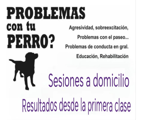 Adiestramiento Canino. Rehabilitacion. Problemas De Conducta