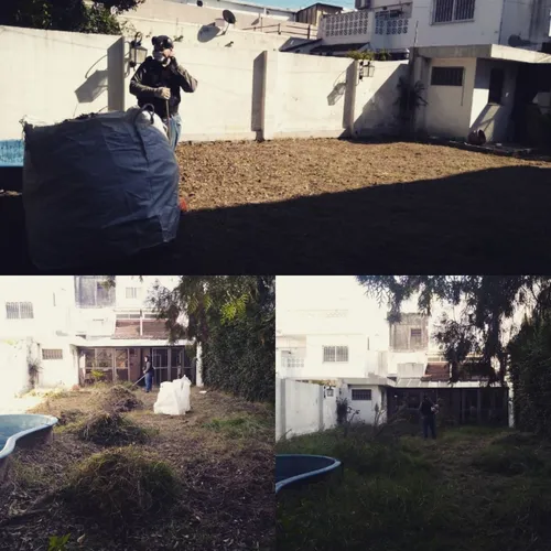 Poda De Arboles