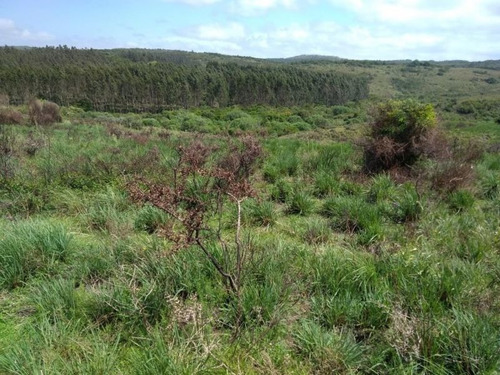 Campo En Venta