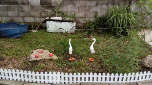 Imagem 3 de 22 de Chácara No Bairro Parque Real, Em Itanhaém, Litoral Sul De São Paulo, Localizada No Lado Serra À 6.000 Metros Da Rodovia.