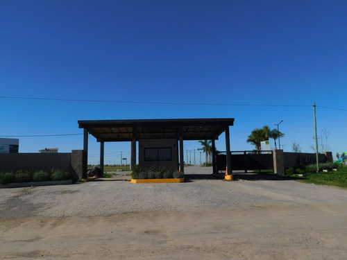 Venta Lote En El Lazo En Exaltacion De La Cruz