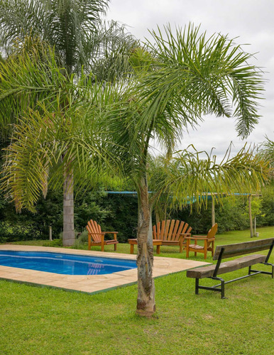 Cabañas, Apartamento , Bungalows Con Piscina De Agua Fría,espacios Verdes,parque