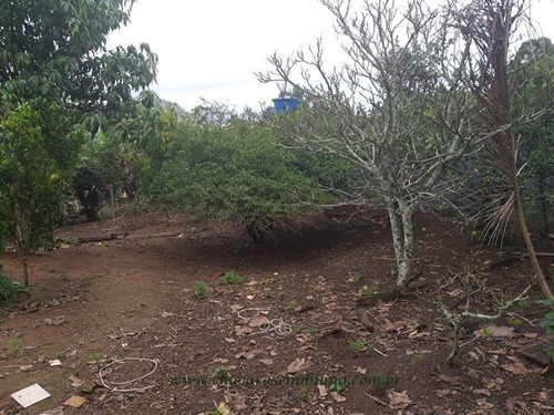 Imagem 30 de 30 de Chacara - 2505 - 68132098