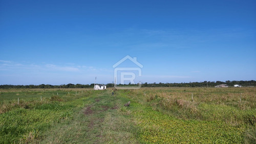 Imagem 24 de 30 de Fazenda Localizada Em Iguape- Sp Com 280 Alqueires - 262 - 71153412
