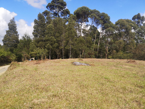 Lote En Rionegro En Venta 8,300 M2 Or # 17