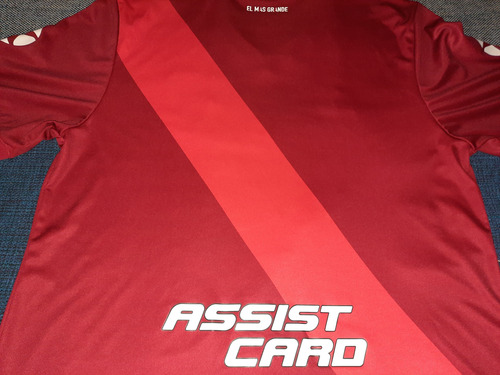 Camiseta Suplente River Plate 2019/2020 L (Usado)