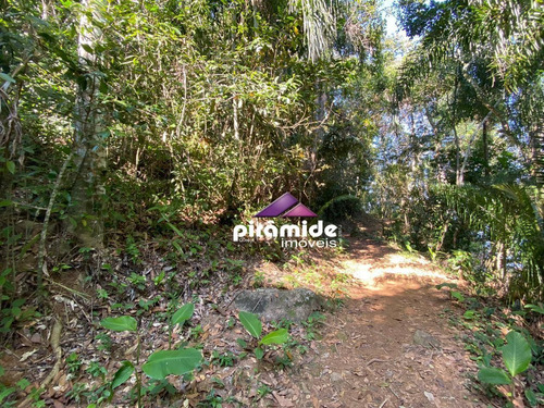 Imagem 8 de 10 de Terreno À Venda, 4000 M² Por R$ 900.000,00 - Lagoinha - Ubatuba/sp - Te1233