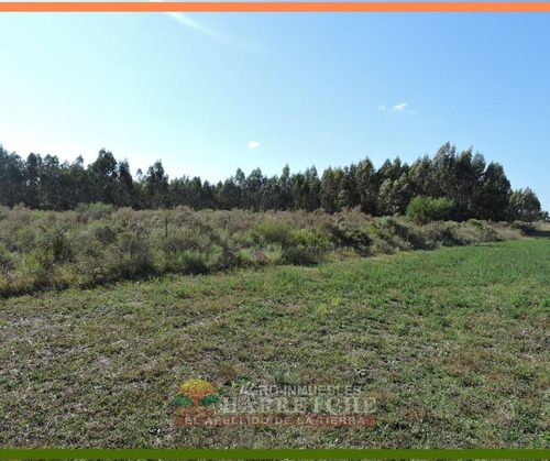 Campo En Venta 16 Has Sauce