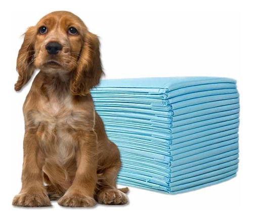 Tapete Entrenador Para Mascotas Con Atrayente 50 Pzs