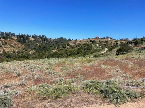 Sitio En Venta En Quintero
