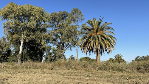 Parque Jousten - Manzana D Lote 25