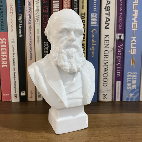 Charles Darwin Bust 13cm Theory Of Evolution Decorative Fig.