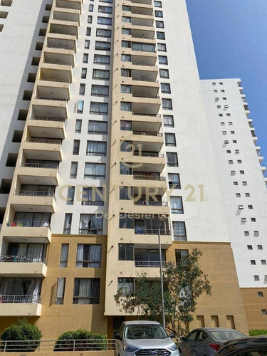 Imagen 1 de 13 de Departamento En Venta, Avenida Cerro Paranal. Sector Sur.