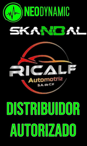 Subwoofer Skandal 12 3000rms Neo Skl 12d1 3k By Neodynamic