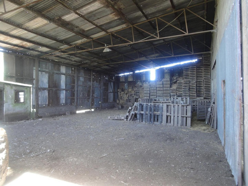 Imagen 7 de 11 de Amplio Galpón Y Casa Sobre Ruta, Terreno De 10.000 M2