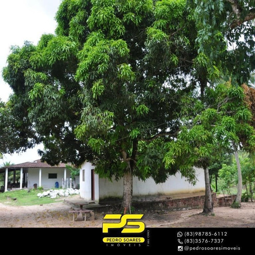 Imagem 2 de 12 de Sítio À Venda, 16 Hectares Por R$ 1.500.000 - Conde - Conde/pb - Si0015