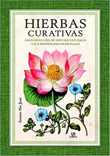 Libro Hierbas Curativas /carmen San Jose