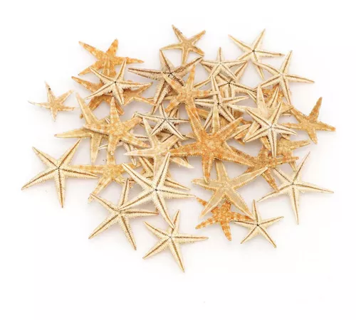 Decoración de estrella de mar, paquete de 10 peces de estrella surtidos  verdes, azules y blancos de 2 a 4 pulgadas, estrellas de mar para