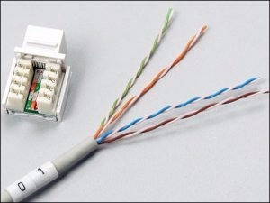 Imagen 6 de 6 de Ficha Conectores Jack Hembra Rj45 Cat 5e Redes Cable Utp X10