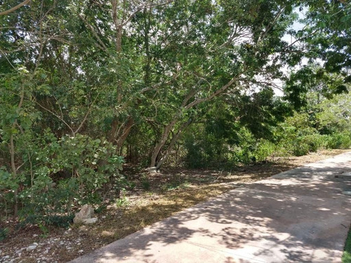 Imagen 6 de 7 de Terreno En Venta En Merida Yucatan Country Club