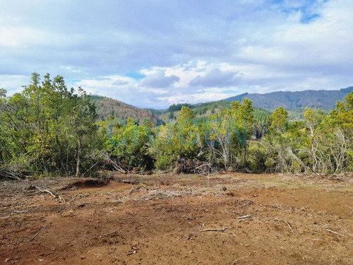 Tranquila Parcela 0,5ha Tranquilidad (92297)