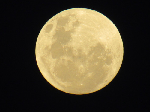 Câmera S-profissional Canon Sx530hs