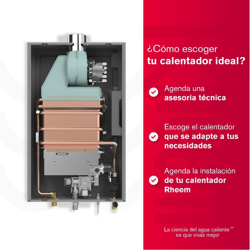 Calentador De Agua 16lt Wifi Gas Natural Tiro Forzado Rheem