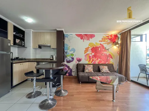 Viña Vende Departamento 1d 1b Calle Alvarez Ideal Inversion