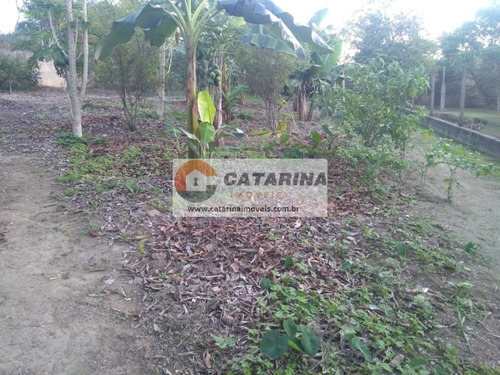 Imagem 1 de 10 de Lindo Terreno Com Topografia Plana!