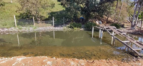 Imagem 3 de 14 de Miracatu/lindo Sitio Rico Em Agua/casa/ac/oferta/ref:05240