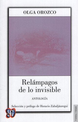 Relampagos De Lo Invisible