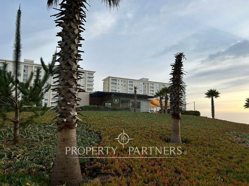 Algarrobo, Arriendo Año Corrido Departamento En Pr...