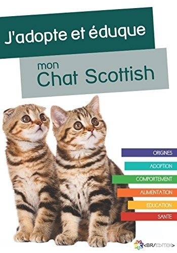 Jadopte Et Eduque Mon Chat Scottish Origines, Adoption, Comp