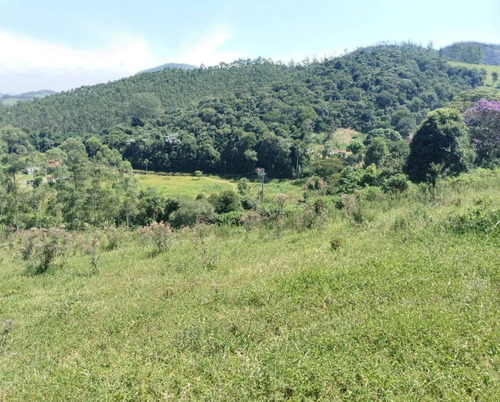 Imagem 5 de 28 de E12 Vendo Terreno Com Área Verde E Lagos Para Pescar Direto Com O Proprietário