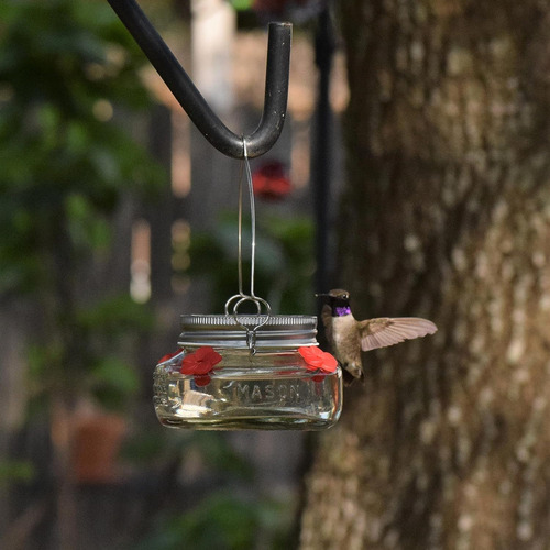 Nature's Way Bird Products Mjf1 Nature's Way Mason Jar Hu...