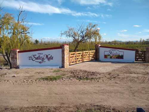 Finca De 60 Ha En Salto De Las Rosas, San Rafael, Mendoza.