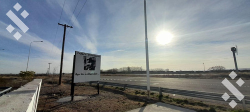 Campo En Senillosa