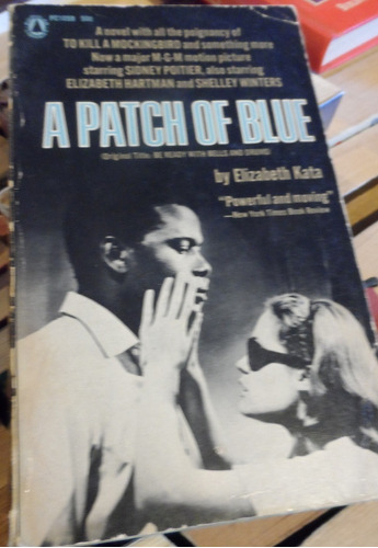 Libro A Patch Of Blue Elizabeth Kata En Inglés